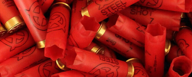 Zurück zur Startseite